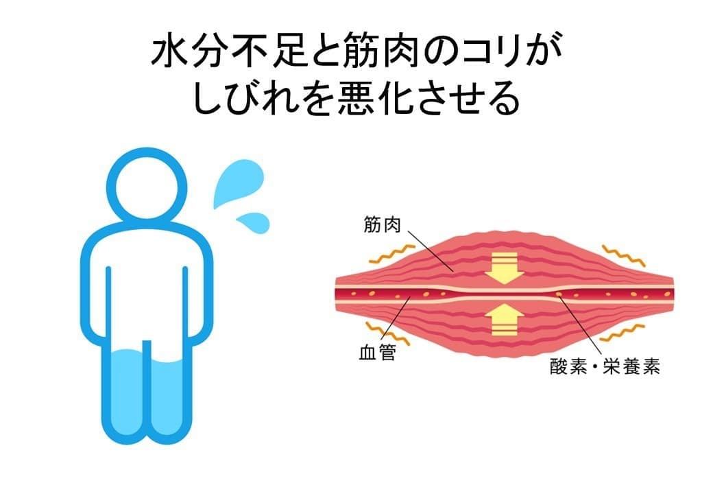 水分不足と筋肉のコリ