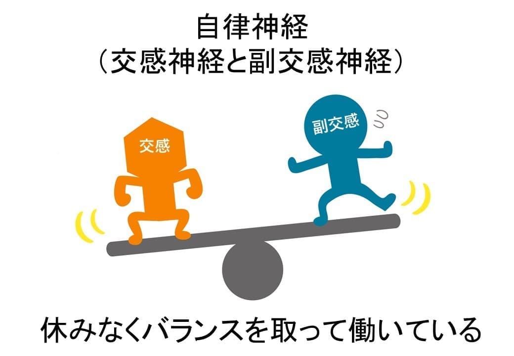 自律神経